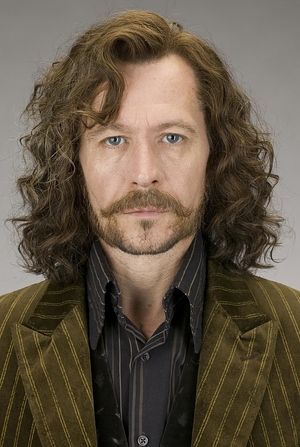 Which Harry Potter Character Are You?  You got: Sirius Black You’re moody, cocky and confident. You hate being idle and love getting into trouble. You can be ruthless towards people you dislike but no one can ask for a more loyal and generous friend than you. Sirius Black Gary Oldman, Harry Potter Creatures, Harry Potter Sirius, Film Harry Potter, Harry Potter Wiki, Harry Potter Voldemort, Buku Harry Potter, Images Harry Potter, Septième Art