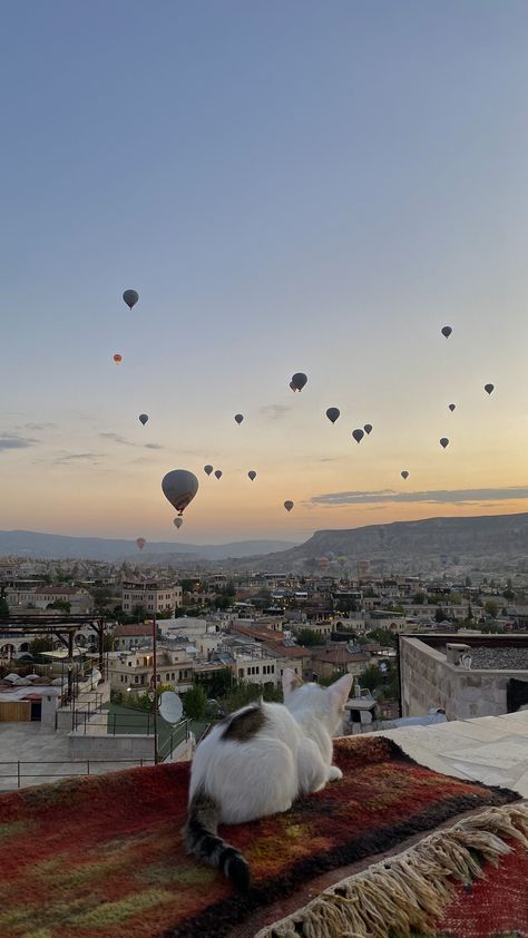 #cappadocia #kapadokya #cats #sunrise #cavehotel Capadocia Aesthetic, Cappadocia Turkey Aesthetic, Vacation Checklist, Cave Hotel, Cappadocia Turkey, Turkish Culture, Friends Travel, Adventure Tours, City Aesthetic