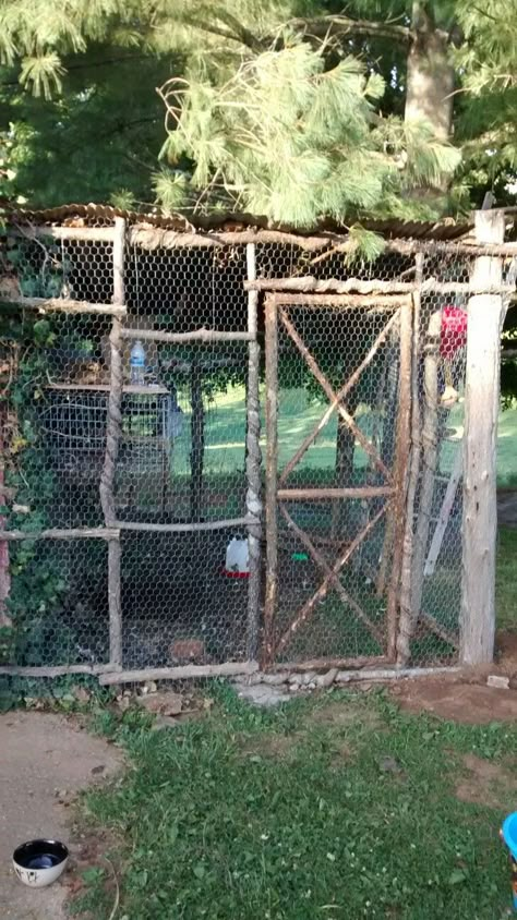 Walk Through Chicken Coop, Diy Rustic Chicken Coop, T Post Chicken Run, Chicken Coop In The Woods, Chicken Outdoor Area, Stone Chicken Coop, Bamboo Chicken Coop, Corner Chicken Coop, Chicken Shelter Ideas