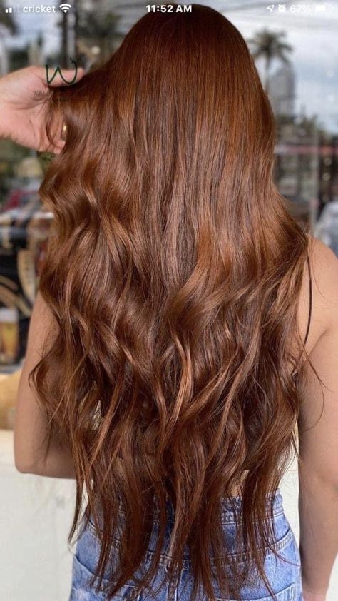 Auburn Hair Color With Dimension, Brown Base With Red Highlights, Cooper Hair Brown Eyes, Chestnut Brown Red Hair, Brick Brown Hair Color, Light Brown Auburn Hair Color, Brown To Auburn Hair Before And After, Spicy Cinnamon Hair Color, Long Reddish Brown Hair