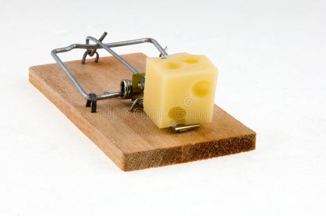 Mouse trap with cheese. Macro , #AFFILIATE, #trap, #Mouse, #Macro, #cheese #ad Mouse Traps That Work, Mouse Trap Diy, Electric Mouse Trap, Live Mouse Trap, Bucket Mouse Trap, Mouse Trap Board Game, Mouse Trap Game, Best Mouse Trap, Catch A Mouse