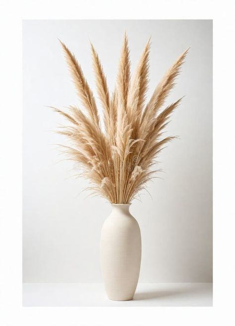 Tan vase with feathers and pampas on it stock image Pampass Grass Vase, Pampas In Vase Decor, Pampas Grass Decor Floor Vase, Large Feathers In Vase, White Floor Vase With Pampas, Pampas Arrangement Vase, Boohoo Bedroom, Pampas Grass In Vase, Pampas Deco