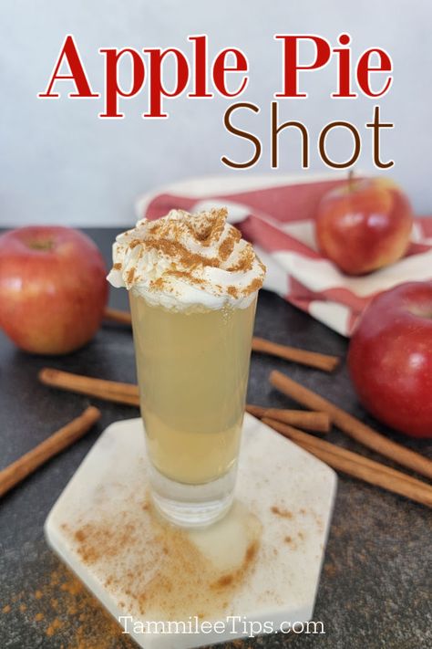 Vanilla Vodka Shots, Vanilla Vodka Shots Recipes, Apple Pie Shots Recipe, Apple Pie Vodka, Apple Pie Shots, Flavored Vodka Drinks, Apple Pie Drink, Easy Shot Recipes, Cold Apple Cider