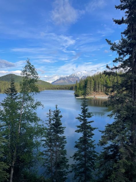 Hiking In Alaska, Hiking Alaska, Alaska Scenery, Alaskan Summer, Alaskan Mountains, Alaska Aesthetic, Alaskan Homes, Alaska Summer, Moving To Alaska