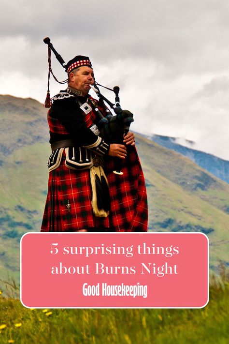 Never celebrated Burns Night before? 🏴󠁧󠁢󠁳󠁣󠁴󠁿 From large banquets to informal laid-back suppers; the celebrations are synonymous with hearty recitals of Burns poetry, haggis with neeps and tatties, loud bagpipes and most certainly lots of whisky... Burns Night Celebration, Burns Supper, Scottish Food, Burns Night, Robert Burns, Burning Questions, Bagpipes, Good Housekeeping, Poetry