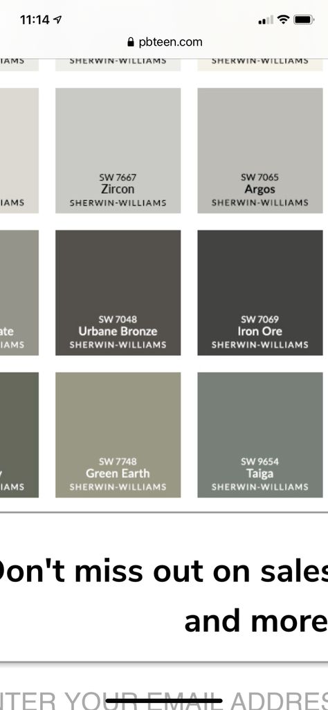 Sherwin Williams Argos, Argos Sherwin Williams, Sherwin Williams Green, Media Room, Sherwin Williams, Paint, Media