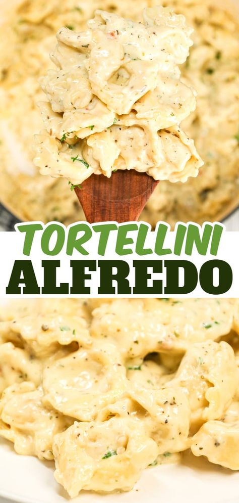 Tortellini Sauce Recipes, Crock Pot Tortellini, Cheese Tortellini Recipes, Recipe With Cheese, Creamy Garlic Parmesan Sauce, Tortellini Alfredo, Alfredo Sauce Recipe Homemade, Garlic Parmesan Sauce, Pasta Recipes Alfredo