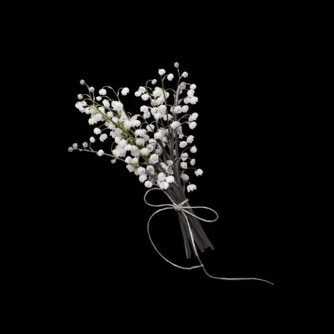 Black Bg Icons, Edit Png, Black Bg, Black Bouquet, Bridal Veils And Headpieces, Flowers Black Background, Flower App, Black Hair Bows, Phone Wallpaper Boho