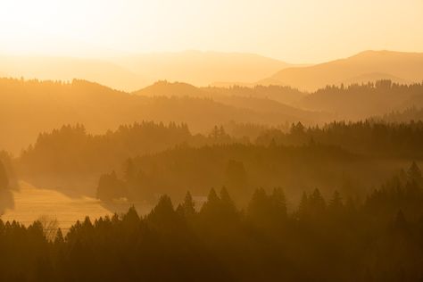 Morning glow over Sandy Oregon. Layers on Layers on Layers (OC) (3000x2000) @dub.zeller #Music #IndieArtist #Chicago Neutral Landscape Photography, Layered Landscape Photography, Oregon Landscape Photography, Patagonia Landscape, Panoramic Mountain Landscape, Photo Layers, National Photography, Here On Earth, Indie Artist