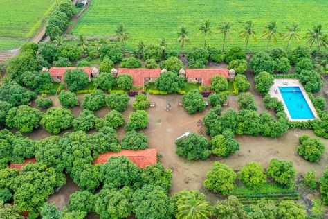 Gallery of Aaranya Farmstay Resort / d6thD design studio - 8 Farm Stay Design, Farmstay Design, Sasan Gir, Resort Landscape, Inclined Studio, Own Business Ideas, Sandstone Wall, Fruit Picking, Roof Architecture