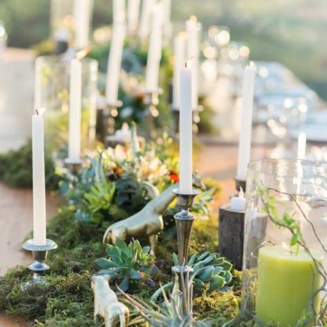 10 safari table setting ideas - The Social Kitchen Jurassic Wedding, African Wedding Theme, Dinosaur Wedding, Jungle Wedding, Bush Wedding, Safari Wedding, Zoo Wedding, Tafel Decor, Safari Party