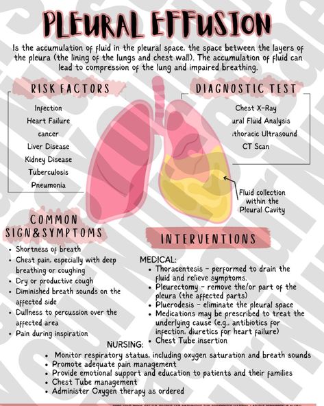 Respiratory Study Guide, Med Surg I/II Respiratory Bundle for Nursing Students Respiratory Study Sheets, Nursing Bundle, Nursing Notes - Etsy Canada Nicu Respiratory Therapist, Med Surg Notes, Nursing Student Notes, Acing Exams, Respiratory Nursing, Nursing Respiratory, Respiratory Therapy Notes, Med Surg Nurse, Clinical Rotations