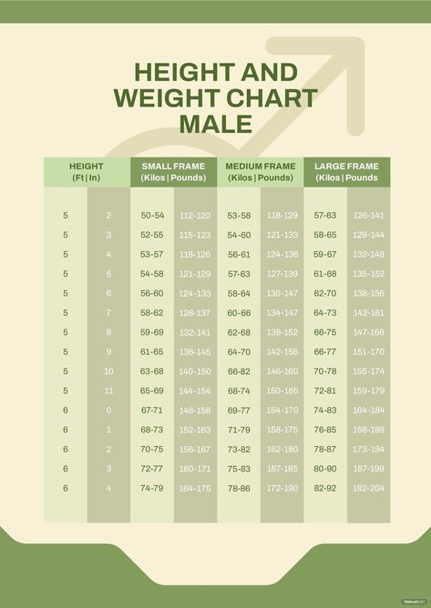 Height and Weight Chart Male Height And Weight Chart, Weight Chart For Men, Weight Chart, Weight Charts, Normal Weight, Height Chart, Ramadan Quotes, Medical Knowledge, Chart Design