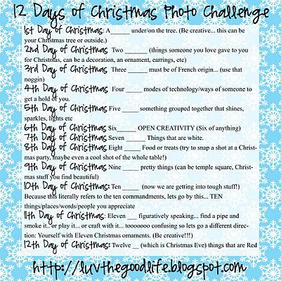 Christmas Photo Challenge, Christmas Photo Ideas, Creative Prompts, Photo Challenges, Photo A Day Challenge, Challenge Ideas, The 12 Days Of Christmas, Cosy Corner, Christmas Time Is Here