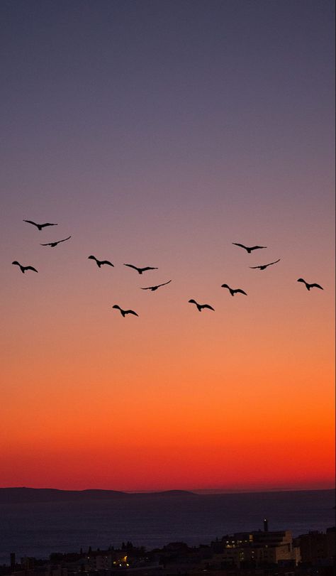 Orange Painting, Morning Sky, Pretty Landscapes, Sky Painting, Amazing Sunsets, Draw On Photos, Birds Flying, Beautiful Sky, Scenery Wallpaper