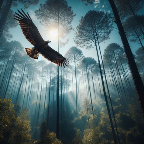 Check more PROMPT at AisRafa.com Check more at https://aisrafa.com/promptcapture-a-majestic-eagle-soaring-gracefully-above-a-dense-forest-of-tal/ Eagle Soaring, Dense Forest, Fantasy Forest, Forest Photography, Flight, Forest, Photography