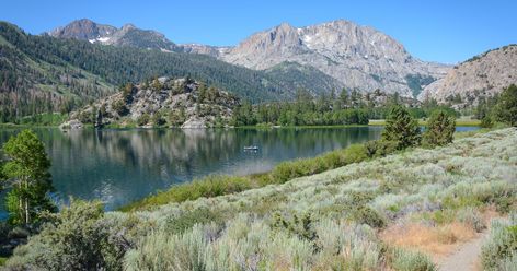 Lake Swimming, Happy Vacation, June Lake, Gull Lake, Fishing Photography, Mammoth Lakes, Vacation Memories, Hiking Spots, Dog Beach