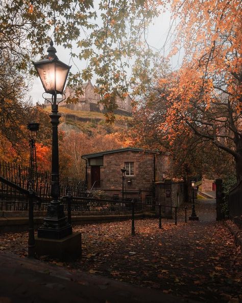 John Murray | Scotland (@johnmurrayjnr) • Instagram photos and videos Edinburgh Winter, Genius Loci, Dark Autumn, Changing Leaves, Autumn Scenes, Fall Feels, Edinburgh Scotland, Seasons Of The Year, Autumn Cozy