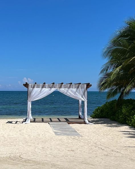 ✨ Behind the Scenes – Wedding Magic in the Making! ✨ I’m touring the wedding venues and rooms at an all-inclusive wedding resort in Jamaica this week, and let me tell you—it’s pure perfection! 🌿 From beachfront locations to elegant gardens, there’s a setting for every couple’s dream day. And those honeymoon suites? Total bliss! 🌅 Here is just a taste of what an all-inclusive wedding experience has to offer! Why settle for ordinary when you can have extraordinary? I’m here, taking note... Wedding Resort, Jamaica Resorts, Just A Taste, Honeymoon Suite, Dream Day, Resort Wedding, All Inclusive, Jamaica, Behind The Scenes