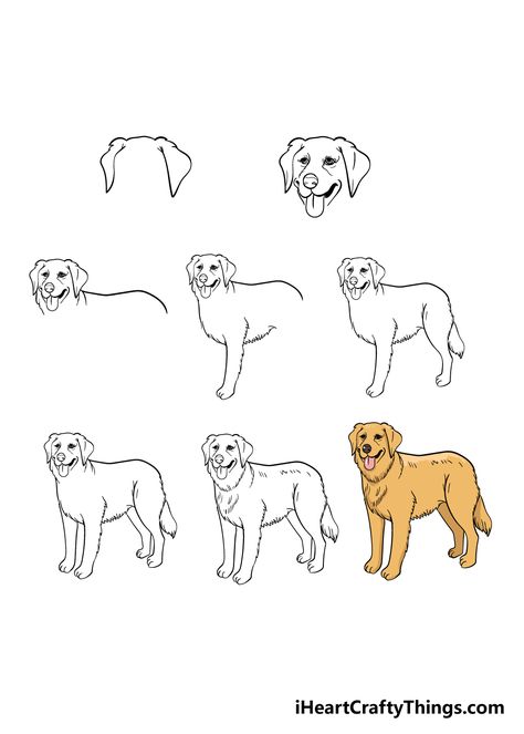 Golden Retriever Painting Easy, How To Draw A Golden Retriever, Golden Retriever Cartoon, Golden Retriever Drawing, Golden Retriever Gif, Golden Retriever Painting, Dog Steps, Drawing Heads, Golden Dog