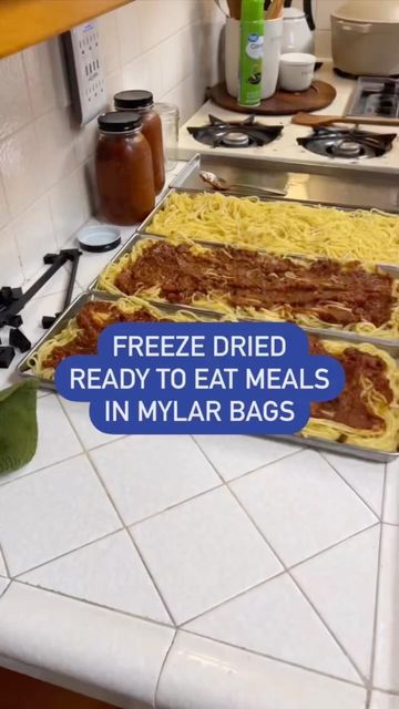 Kerrina Homesteader on Instagram: "Make your own Freeze Dried MRE meals with these Mylar Bags for Long Term Storage and delicious options! Check out the Wallaby options listed!! #homesteader #freezedry #freezedried #mre #readytoeat #homemade #homesteadlife #prepper #beprepared #homesteadingskills #fromscratchcooking #farmlife #urbanfarm #garden #gardening #prepare #growyourownfood #fallgarden #plants #realfood #howto #purposefulliving #homesteadingmama #preservation #canning #dehydrate #diy" Freeze Drying Meals Recipes, Mre Meals Diy, Homemade Mre, Freeze Dried Breakfast, Homemade Mre Diy, Freeze Dried Camping Meals, Freeze Dried Pickles, Freeze Dried Meal Ideas, Freeze Dry Meals