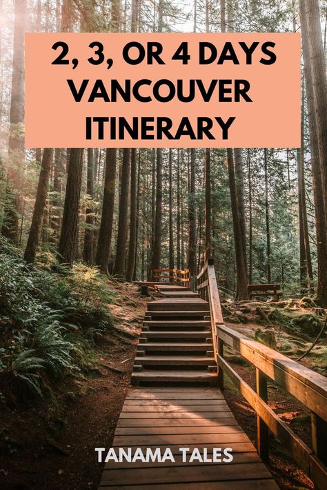 Vancouver Forest, Vancouver Mountains, Aesthetic Vancouver, Vancouver Aesthetic, Vancouver Itinerary, Vancouver Architecture, Vancouver Chinatown, Granville Island Vancouver, Vancouver Vacation