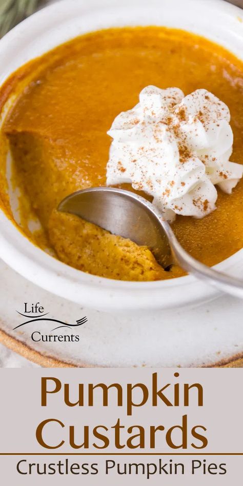 Pumpkin Pie Custard, Crustless Pumpkin Pie, Pumpkin Custard, Pumpkin Pudding, Pumpkin Pies, Holiday Dessert Recipes, Custard Recipes, Pumpkin Recipes Dessert, Thanksgiving And Christmas