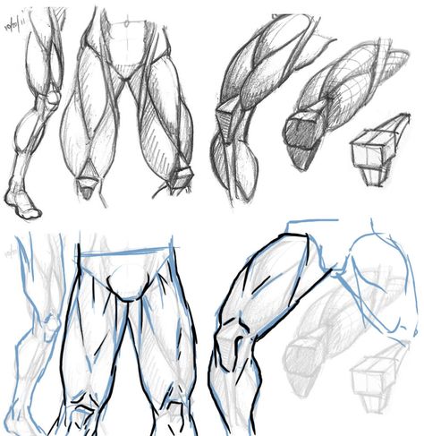 Feet Reference Drawing Step By Step, How To Draw Legs, Anatomy Male, Animated Anatomy, Leg Anatomy, Human Legs, Male Figure Drawing, Drawing Legs, Draw Human