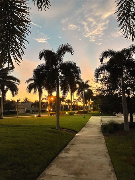 Florida Sunset #sunset #sunshine #palmtrees #florida #walks Beach Sunset Florida, Romanticism Life, America Florida, Florida Sunset, 2024 Goals, Florida Springs, Florida Girl, Moving To Florida, Book Aesthetics