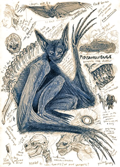 Pipisanguisuge (PIP-EEE-san-GWEE-zu-gay) Bestiary Drawing Print - A Vampiric Cave Dwelling Bat Humanoid  "A winged, humanoid creature from the Appalachian region, Pipisanguisuge sleeps in the cool depths of caves during the day, and sucks the blood of unlucky victims at night. This dangerous species of large bat is found within caves of the Appalachian region, though are most numerous in the Appalachian plateaus of Ohio, Kentucky, and West Virginia. House Bar Decor, Witcher Wallpaper, House Bar, Card Poster, Paper Home, Mythical Creature, Bachelor Of Fine Arts, Home Bar Decor, Paper Houses