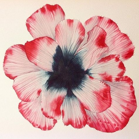 Png Flower, Pics Art, Pretty Flowers, Dahlia, Hibiscus, Art Work, Art Inspo, Tulips, Art Reference