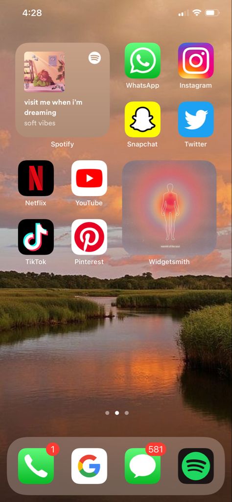 Screen Shots Iphone, Organized Phone, Phone Organisation, Iphone Layouts, Football Players Photos, N Netflix, Iphone Home Screen Layout, Screen Layout, Homescreen Iphone