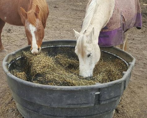 Hay Nets and DIY Slow Feed Hay Feeders Diy Hay Feeder For Horses, Horse Feeder Diy, Horse Slow Feeder, Diy Hay Feeder, Diy Barrel, Horse Mane Braids, Hay Feeder For Horses, Horse Feeder, Hay Storage