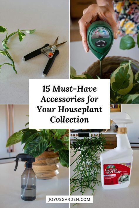 Discover the essentials for your houseplant collection. We've put this list together to help new plant parents begin their houseplant care journey. From watering cans to humidity meter, these 16 indoor plant accessories & supplies will keep your plants thriving and looking their best. Don't miss out on these must-have houseplant gardening tools for every indoor gardener's arsenal! House Plant Essentials, Plant Amazon Must Haves, How To Create Humidity For Indoor Plants, Plant Essentials, Plant Tools Must Have, Beginner Plants Indoor Pet Friendly, Houseplant Collection, Easy Indoor Plants, Plant Accessories