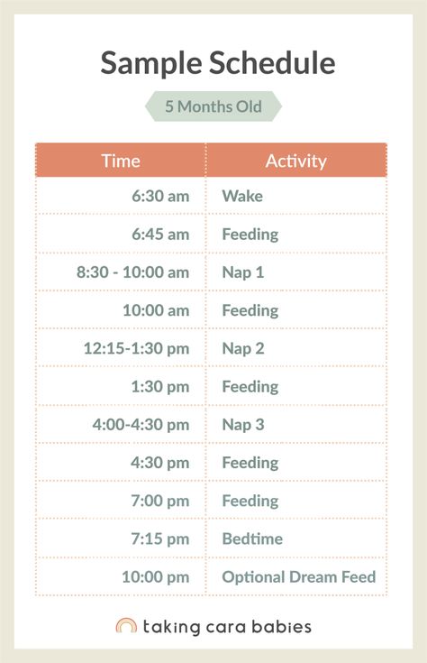 5 Month Old Schedule, 5 Month Old Sleep, Taking Cara Babies, Moms On Call, 5 Month Baby, Taking Care Of Baby, 5 Month Old Baby, 5 Month Old, Baby Routine