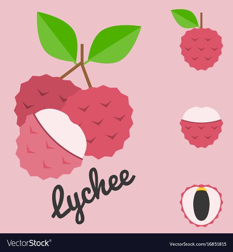 Lychee Drawing, Lychee Illustration, Lychee Vector, Png Images, Adobe Illustrator, Vector Images, Vector Free, Illustrator, Royalty Free