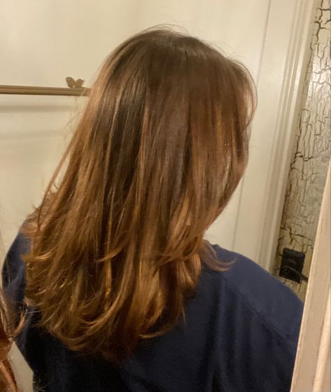 Medium Length With Layers, Brown Hair Medium Length, Hair Cut Lengths, Brown Hair Medium, Armpit Length Hair, Brown Mid Length Hair, Mid Length Straight Hair, Brown Hair Cuts, Middle Length Hair