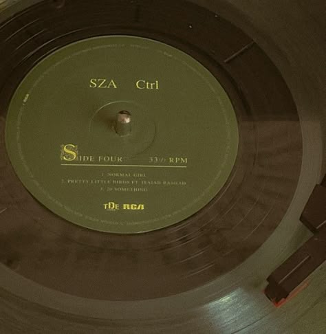 Sza Vinyl, 93 Percent Stardust, Earthy Tones Aesthetic, Earth Tone Aesthetic, Green Academia, Earthy Aesthetic, Green Pictures, Oh Captain My Captain, Dark Green Aesthetic