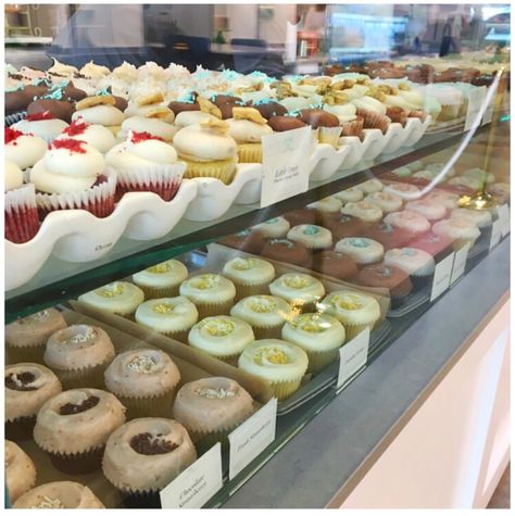 Bird Bakery Dallas cupcakes Bird Bakery, Elizabeth Chambers, Mini Cupcakes, Bucket List, Dallas, Birds, Cake