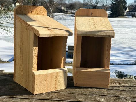 Finch Bird House, Dove Nest, Bird Nesting Box, Deer Feeders, Tree Swallow, Bluebird House, Finches Bird, Chickadee Bird, Duck House