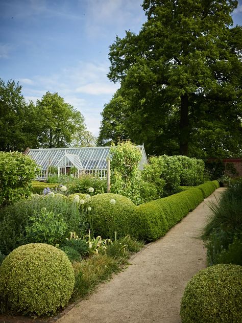 Chrissie Rucker White Company country garden | House & Garden Highgrove Garden, Hydrangea Arborescens Annabelle, Hornbeam Hedge, Hydrangea Arborescens, Garden Magazine, English Country Gardens, Vegetable Garden Design, White Company, Country Garden