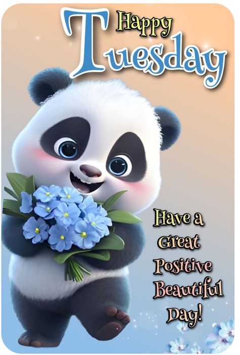 Happy Tuesday Morning Funny, Good Morning Tuesday Funny, Tuesday Gif, Good Morning Tuesday Wishes, Happy Tuesday Morning, Tuesday Greetings, Morning Tuesday, Facebook Engagement Posts, Beautiful Good Night Quotes