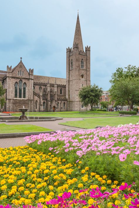 St Patricks Cathedral Ireland, Ireland Cathedral, Dublin Ireland Aesthetic, Dublin Travel Guide, Ireland 2023, Antrim Ireland, Viking Ocean Cruise, Ireland Aesthetic, St Patrick's Cathedral