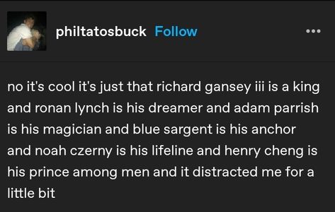 Gansey Raven Boys, Raven Boys Aesthetic, Monmouth Manufacturing, Henry Cheng, Cycling Memes, The Raven Boys, Dreamer Trilogy, Blue Lily Lily Blue, Blue Sargent