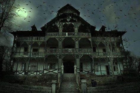 Haunted House Pictures, Best Haunted Houses, Spooky Forest, Creepy Houses, Old Mansion, Abandoned Mansion, Haunted Forest, Dark Horror, Special Halloween