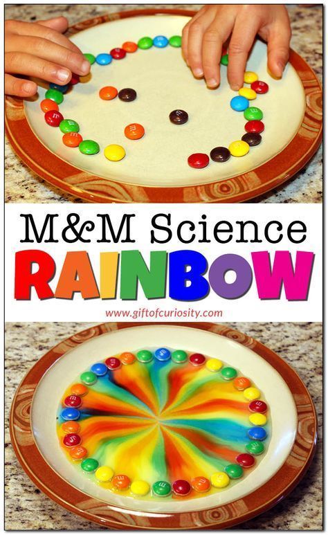 M&M science rainbow Preschool Rainbow, Vetenskapliga Experiment, Rainbow Toys, Candy Science, Rainbow Project, Rainbow Board, Rainbow Activities, Kid Science, Preschool Science Activities