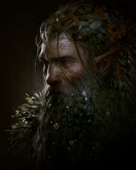 Old Elf, Dnd Elves, Elf Characters, Elf Druid, Forest Elf, Elf Art, Fantasy Portraits, Dungeons And Dragons Characters, Fantasy Male