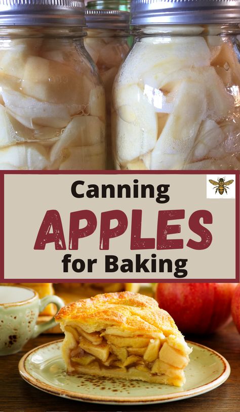 How To Can Apples For Apple Pie Filling, Canning Cooked Apples, Canning Granny Smith Apples, Canning Apple Slices, Canning Fried Apples, Apples Canning, Can Apples, Apple Recipes For Canning, Apple Canning