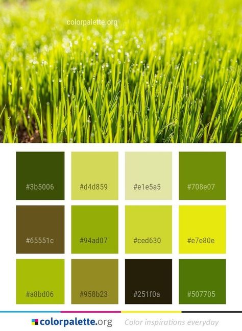 Grass Green Color, Graphics Design Inspiration, Html Color Codes, Color Knowledge, Green Color Palette, Colors Inspiration, Bedroom Colour Palette, Hex Color Palette, Color Palette Challenge