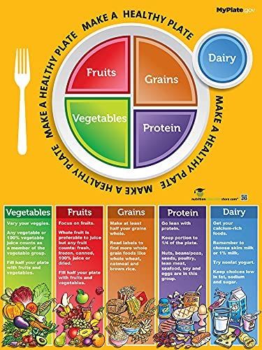 AmazonSmile: Nutrition Education Store MyPlate Poster: Educational Prints: Posters & Prints Plate Nutrition, Educational Prints, Nutrition Poster, Nutrition Store, Healthy Plate, My Plate, School Cafeteria, Nutrient Rich Foods, Vegetable Protein